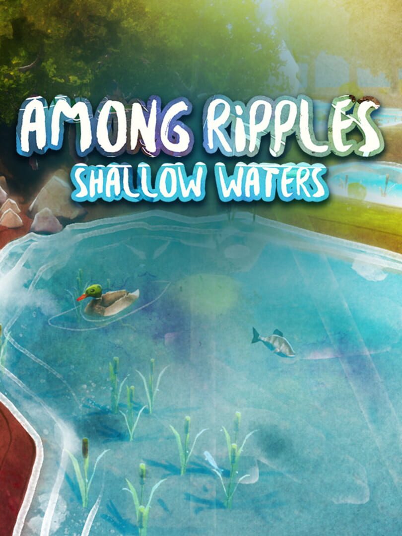 Among Ripples: Shallow Waters